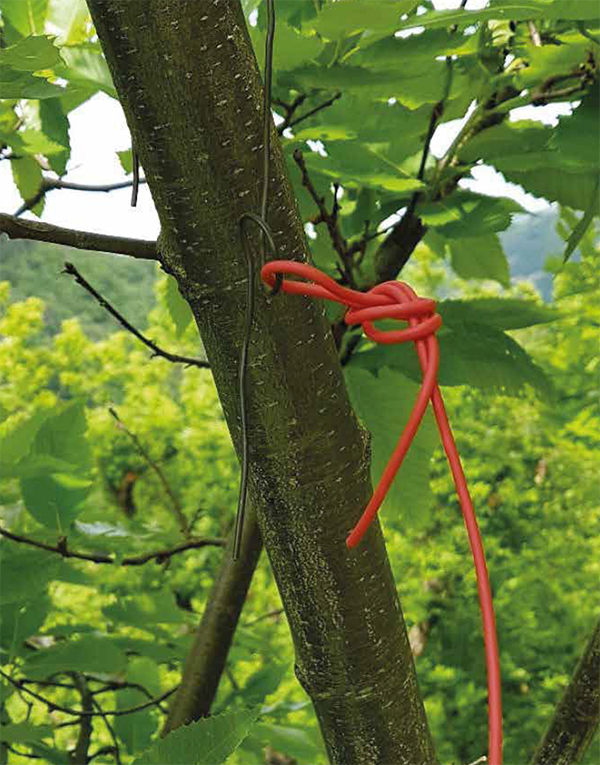 P-25016INFCT-ecodianCTw_incampo