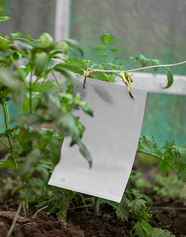 P-25017INFW_WHITE_PANNELLO_IN-CAMPO_modifica