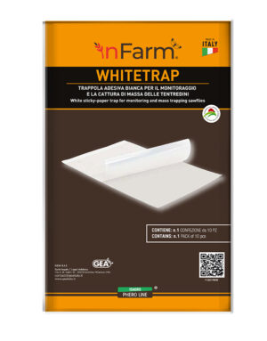 P-25017INFW_WHITE_pack.